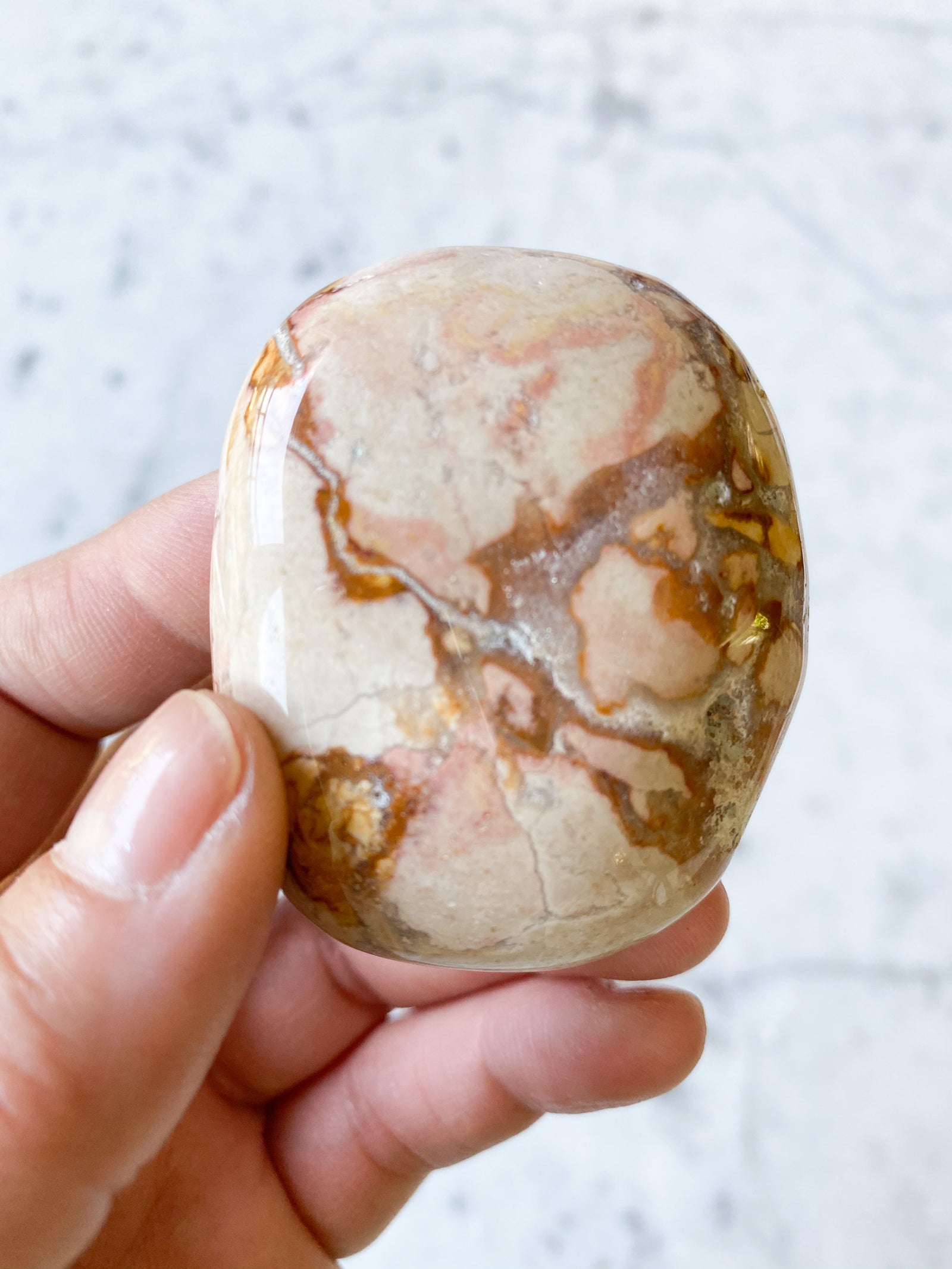 Ibis Jasper (palm stone) — The Auric Fields