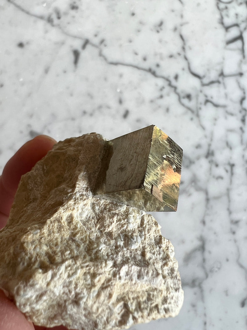 Pyrite cube on matrix PY10