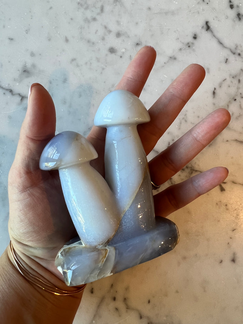 Blue Chalcedony Mushroom 1